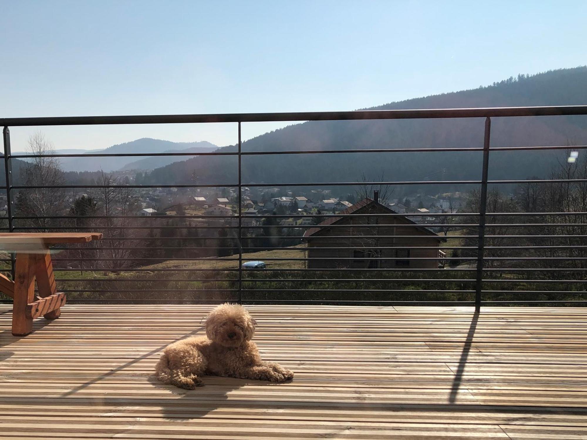 La Renouee Villa Gerardmer Bagian luar foto