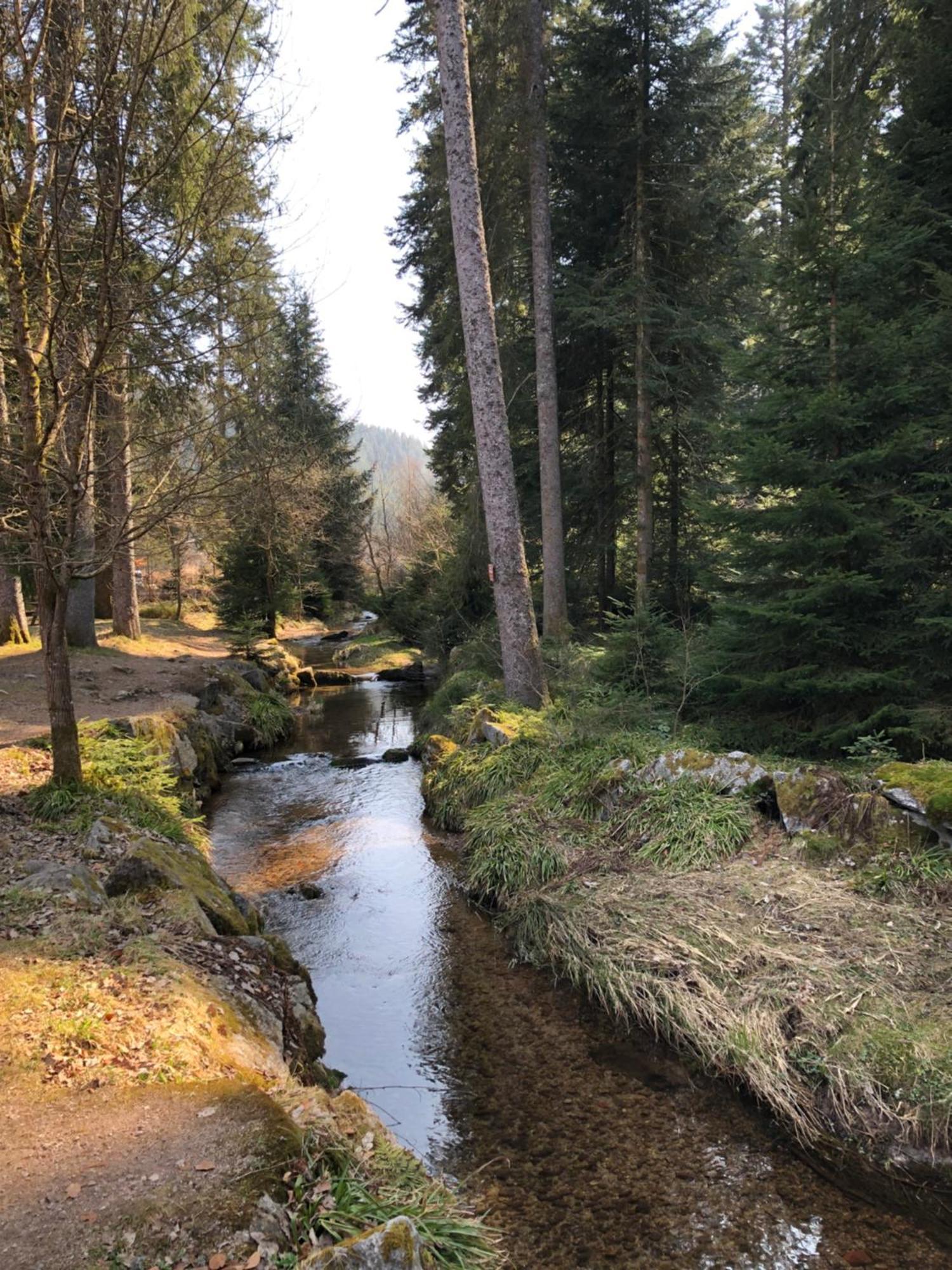La Renouee Villa Gerardmer Bagian luar foto